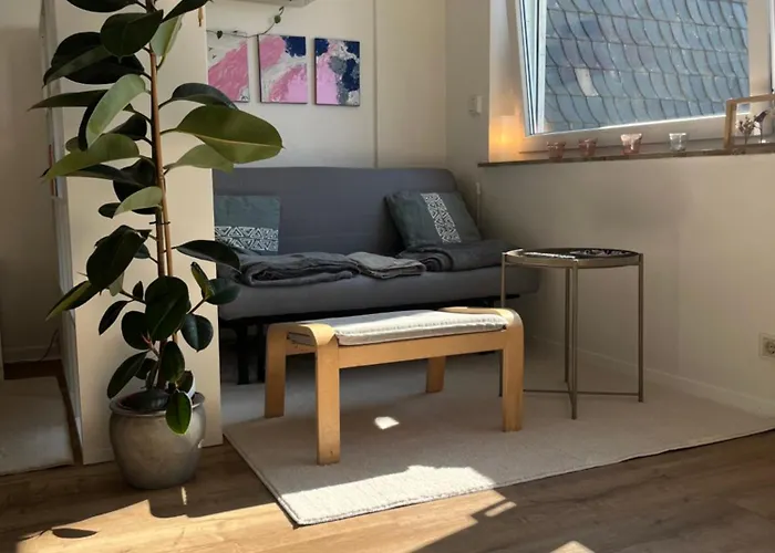 Schoenes Apartment Mit Balkon Aggertalsperre